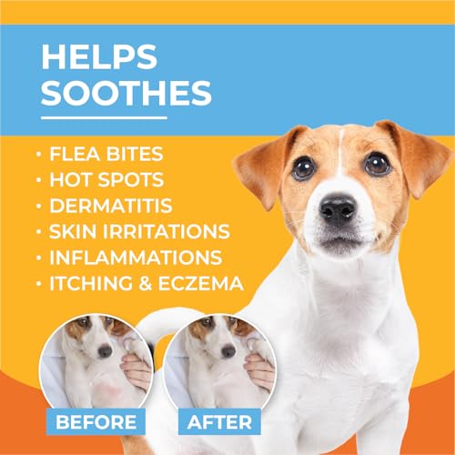 Image of Paw Science Anti-Itch Hydrocortisone Moisturizing Lotion for Dogs & Cats - Hot Spot Treatment, Dog Itching Skin Relief, Itchy Hotspots Cream, Medicated Ointment for Irritation & Rash