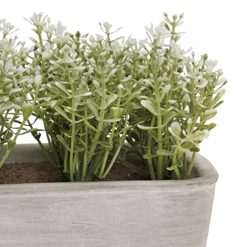 Image of PURE HOME + LIVING Green Faux Plant with Rectangular Cement Pot Plant in Dusty Green for Office Room Table Windowsill Decor.(Pot-21X12 CM,Height-15cm) Pack of 1