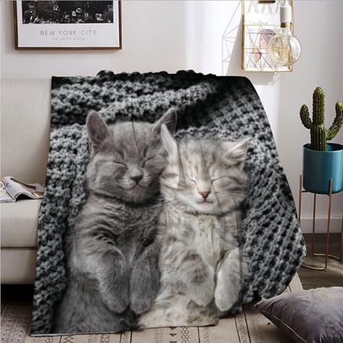 BNREDA Couverture avec Motif Chat - Motif Animal Mignon - en Flanelle Polaire Moelleuse - pour Enfants et Adultes (Chat 2, 150x200cm)