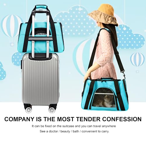 Pet-CarrierDog-Carrier-Cat-Carrier-Airline-ApprovedCollapsible-Soft-Sided-TSA-Approved-Pet-Carrier-for-Medium-and-Small-Cats-Puppies-Up-to-15-Lbs-Cat-Travel-CarrierMedium-Blue