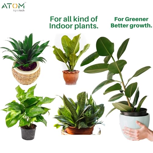 Image of Plant Power Supplement - Liquid Food for Indoor Plants Like Lucky Bamboo, Monstera, Pothos, Money Plant etc. | Effective for all Plants Each 50 ml(3 Bottles)