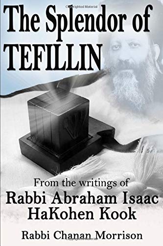 Télécharger The Splendor of Tefillin: Insights into the Mitzvah of Tefillin From the Writings of Rabbi Abraham I PDF Ebook En Ligne