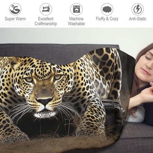 Couverture pour chaise et salon motif léopard plaid douillet