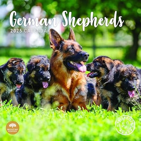 2025 German Shepherds Wall Calendar by Bright Day Cover