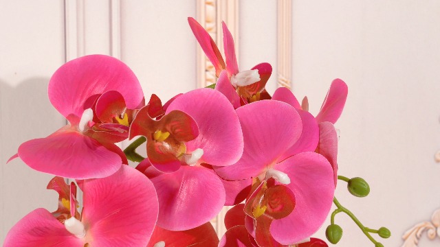 Amazon.com: W&W Artificial Orchid Plants and Flowers with Vase