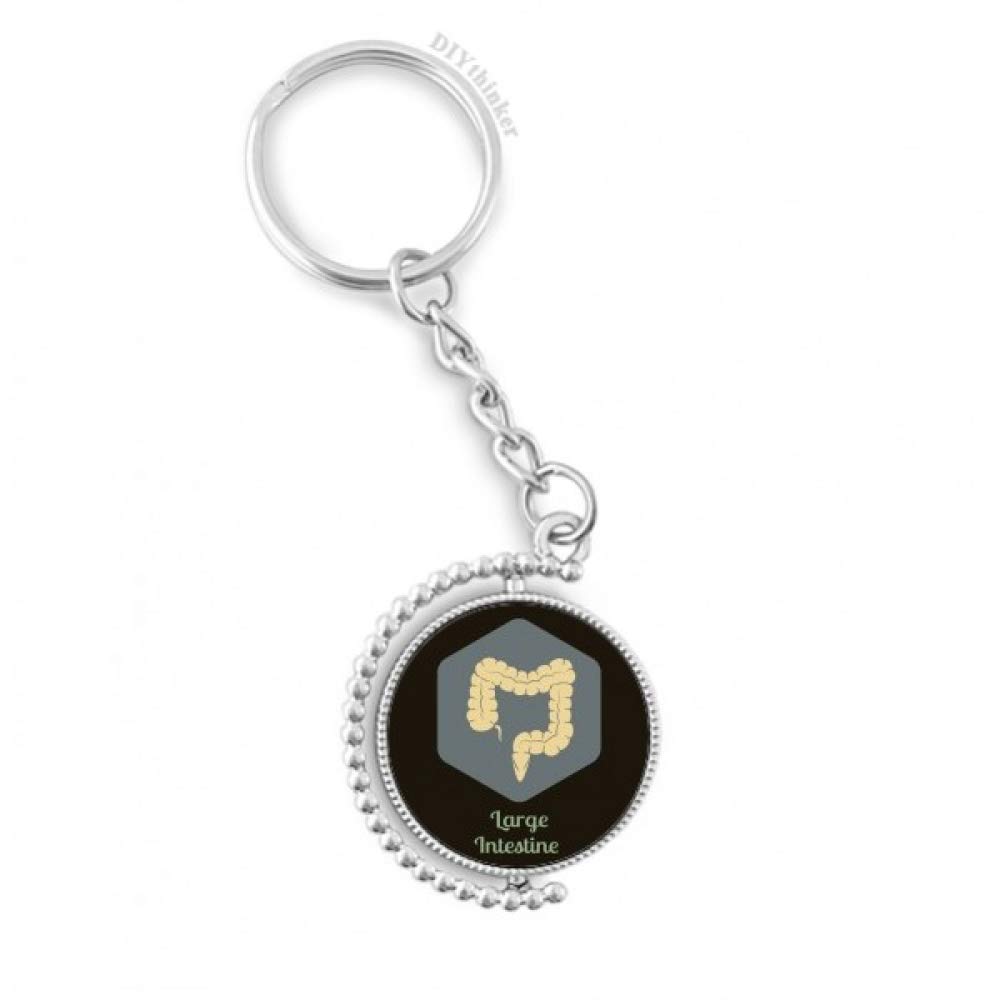 Porte-clés grand intestin idée cadeau original pour médecin et étudiant - 4