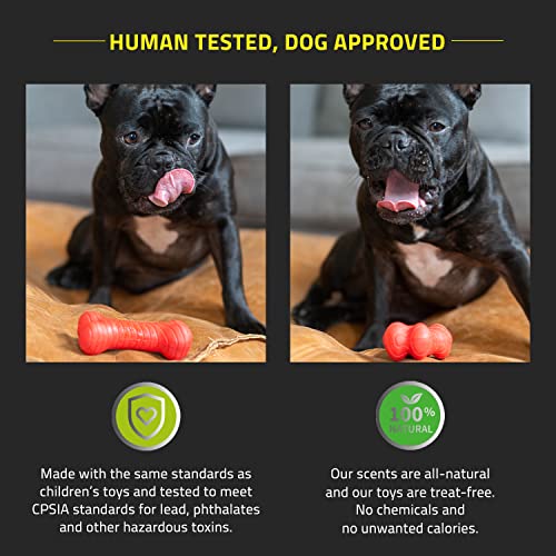 Playology-Dual-Layer-Bone-Toy-for-Large-Dogs-35lbs-up-Engaging-All-Natural-Cheddar-Cheese-Scented-Durable-Dog-Chew-Toy-for-Heavy-Chewers-Easy-to-Clean-Interactive-Non-Toxic - Cucciolini Doodles   Playology-Dual-Layer-Bone-Toy-for-Large-Dogs-35lbs-up-Engaging-All-Natural-Cheddar-Cheese-Scented-Durable-Dog-Chew-Toy-for-Heavy-Chewers-Easy-to-Clean-Interactive-Non-Toxic