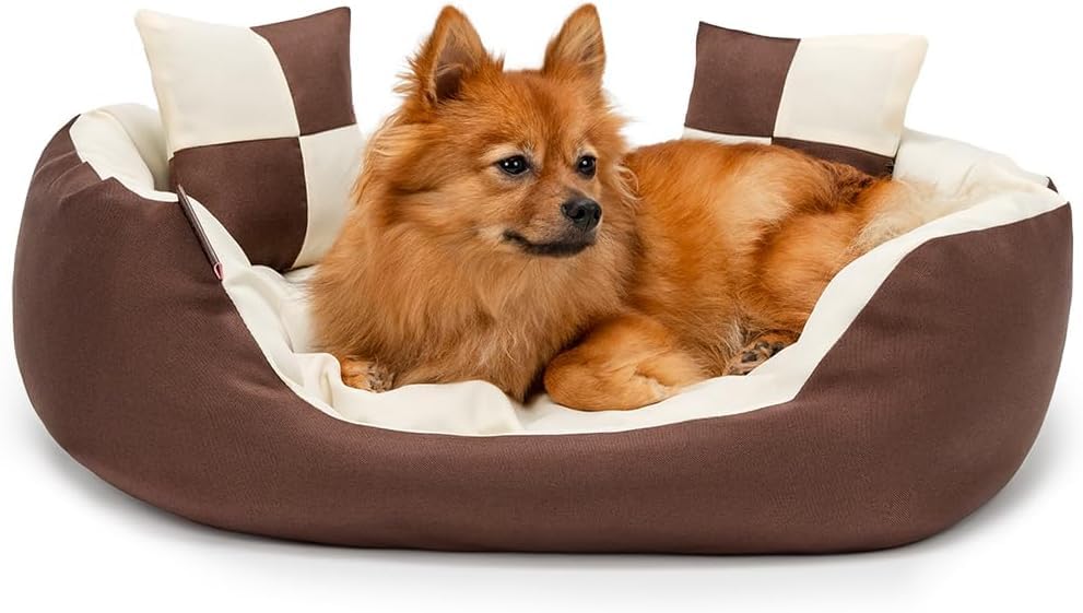 Empire World Velvet Dog Bed Washable Cat Beds for Indoor Cats and Puppy, Dog Bed Sofa for Dogs, Gift for Dogs and Cats, Oval Bed. (L 80 x B 65 X H 17 cm, Brown-Cream) (B0D34WXFF3) Amazon Price History, Amazon Price Tracker