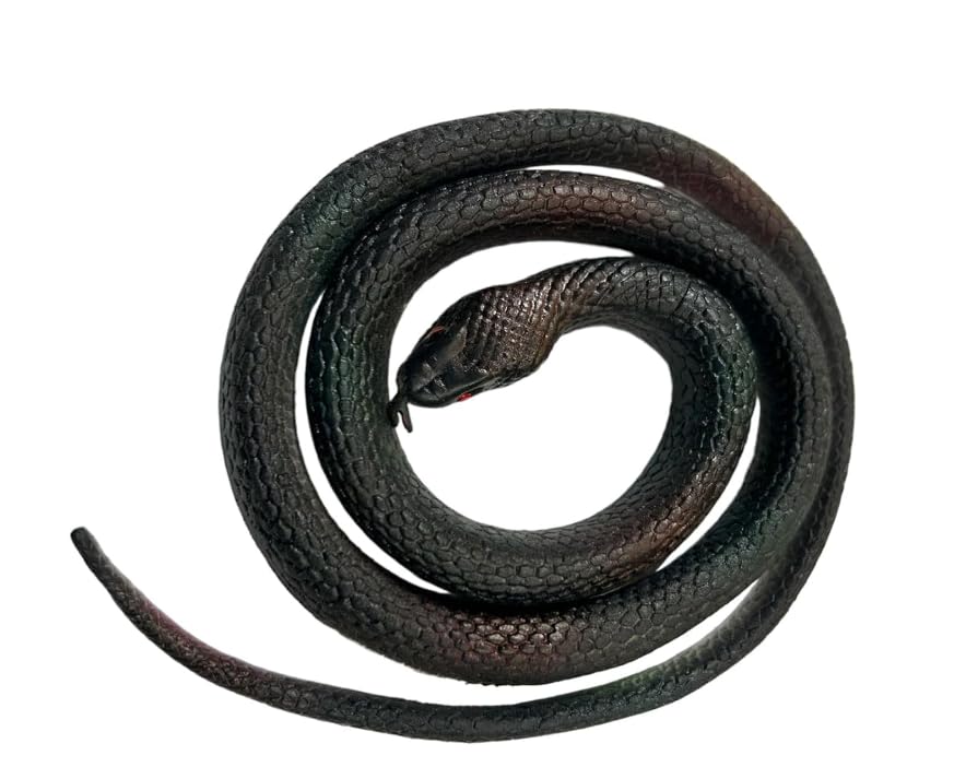 See full amazon price history chart for Soft Rubber Mamba Snakes Toys Garden Props Funny Halloween Prank Decorations Soft Rubber Mamba Snakes Toys Garden Props Funny Halloween Prank Decorations (B0DH3P5JW8) Amazon Price History, Amazon Price Tracker