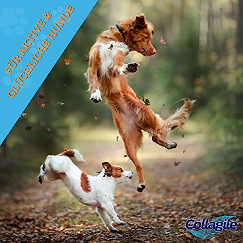 Collagile Dog Hunde Ergänzungsfutter für Knochen und Bänder Bioaktive Kollagenpeptide in Lebensmittelqualität (6 x 225g)