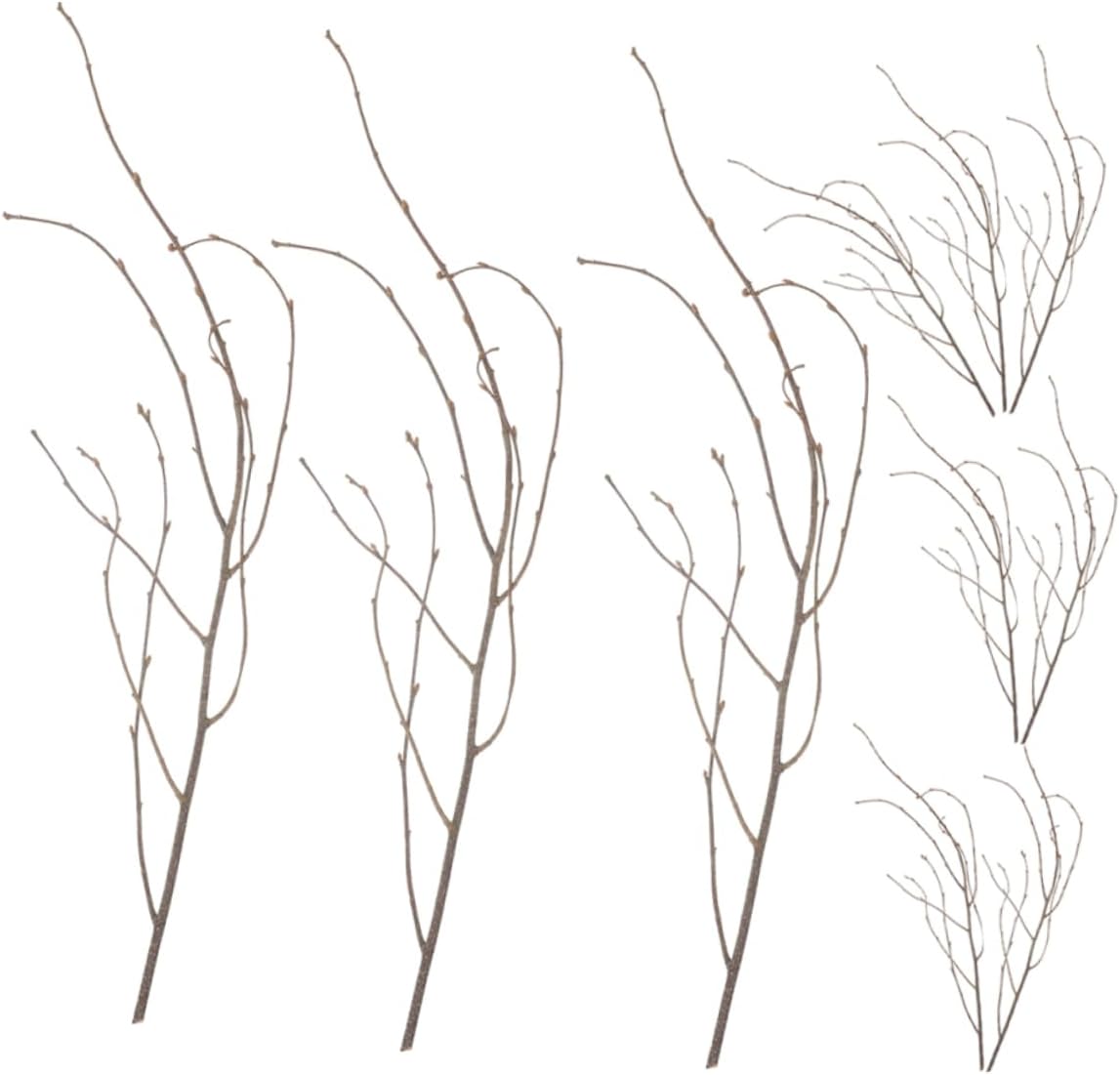 Alipis 12pcs Dried Birch Branches for Decoration Natural Twigs for Crafts Floral Arrangements and Home Decor for Weddings Parties and Indoor Styling