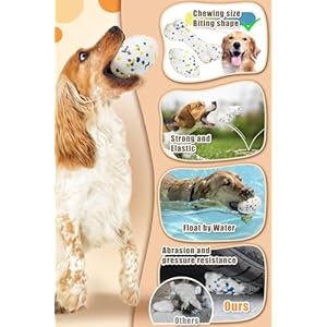 2Pcs grade Bone Dog Balls for Aggressive Chewers, Indestructible Tennis Balls for Dogs (Bone+Rugby)