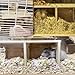 Hamiledyi Wooden Hamsters 2-Chamber Hideout-Tunnel Multi Chamber Exploring Toy Hamster Hiding Maze Tunnel Toy Platform Stuff Cage Accessories for Gerbil Rat Mice