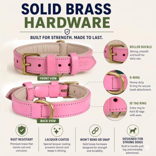 Image of Genuine Leather Dog Collar, Light Pink, Medium, Brass Buckle, Padded | 1 Inch Wide, Fit Neck Size - 14.5 inch - 18.5 inch, Double D Ring, Adjustable, Thick Leather, Heavy Duty, Soft Leather padding