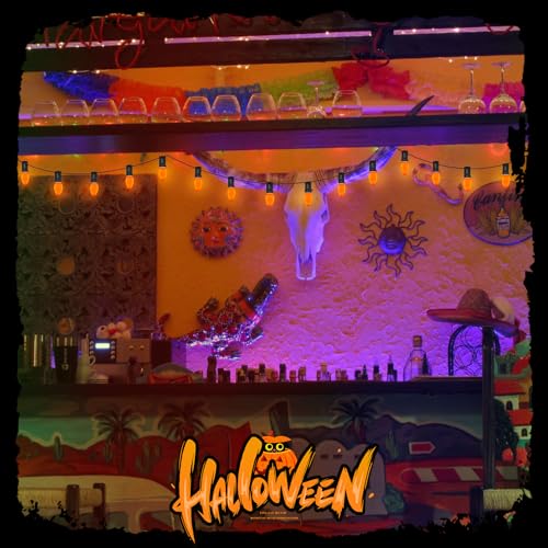Image of GOOTHY C7 LED Outdoor Halloween Lights 25Ft Orange Halloween Decoration String Lights with 27 Shatterproof Orange LED Bulbs, Hanging Outdoor Patio Lights for Christmas Party Patio Wedding Holiday