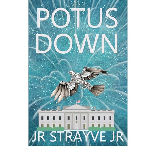 POTUS DOWN Audiolibro Por JR STRAYVE JR arte de portada