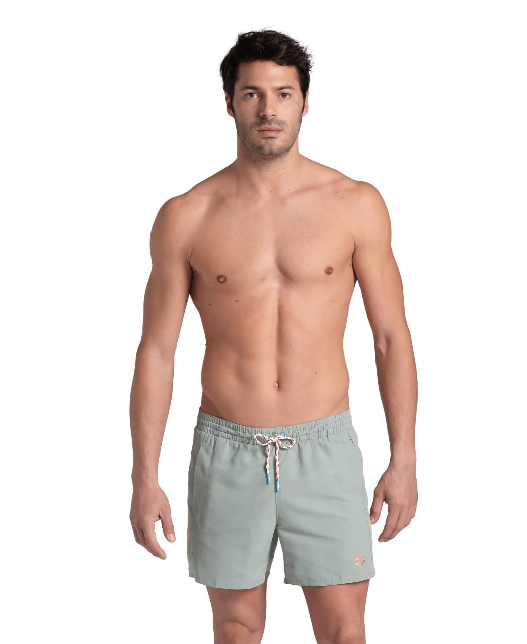 ARENA Men's Pro_File Logo Beach Shorts