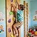SREHRLY 32 PCS Rock Climbing Wall for Kids,Rock Wall Climbing Holds,Adults Climbing Wall Grip Kits Holds Up to 230 lbs for Outdoor Indoor Home Playground Climbing Holds（Pastel Color）