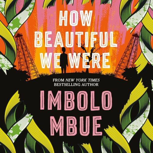 How Beautiful We Were cover art