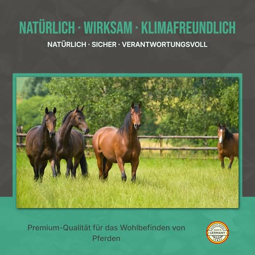 C44-Zittau Premium Futterkohle 0-3 mm für Pferde – 100% natürlicher Futtermittelzusatz für Verdauung, Stallhygiene, Geruchsbindung, Güllequalität & Darmflora – Made in Germany (10L)
