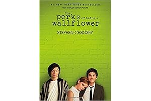 The Perks of Being a Wallflower Paperback 2018 by Stephen Chbosky