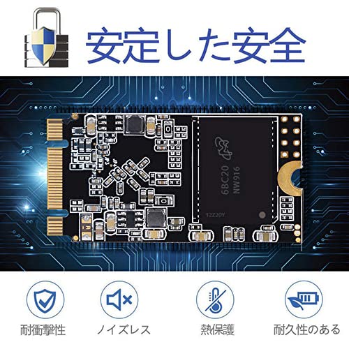 Amazon.co.jp: Shark Solid State Drive 内蔵SSD M.2 2242 500GB Ngff