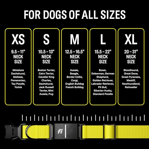 Fi FC3 Series 3 Smart Dog Collar - Gps Dog Tracker And Activity & Fitness Monitor thumb #6