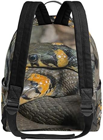 Amazon.com: MUOOUM - Mochila de serpiente para escuela o colegio, estilo  informal, bolsa de viaje para adolescentes, niños y niñas : Ropa, Zapatos y  Joyería