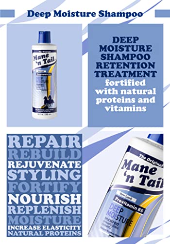 Mane N Tail Moisturizing Shampoo, 12 Ounce #TOP4