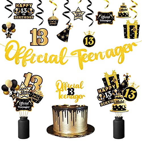 WATINC 13th Birthday Banner Party Decoration, Glitter Birthday Hanging Garlands Swirls Signs for 13 Year Old Boys Girls Official Teenager, Birthday Cake Topper Centerpieces Decor Kids Party Supplies