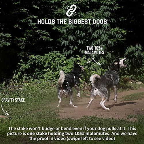 Säker Heavy Duty Tie Out Stake - Strongest Dog Anchor Holds 2 Large Dogs Over 180Lbs | Premium Dog Stake For Peace Of Mind In The Yard, Camping Or At The Beach. Use Any Dog Tie Out Or Dog Lead #TOP1