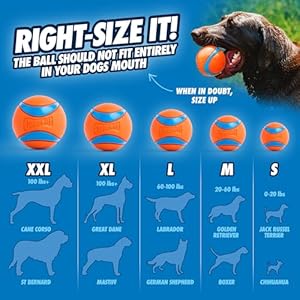 Chuckit ultra ball dog toy size xxl for dogs 100 lbs made from durable rubber super bouncy floats in water 4 inch diameter pack of 1  urban country home decor