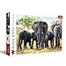 Trefl 1000 Elementi, immagine, savana, Africa, famiglia di elefanti, te, intrattenimento creativo, regalo, classici Puzzle, Colore africani, 10442