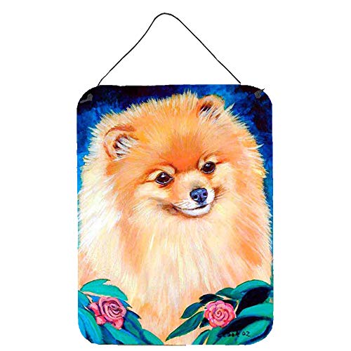 Caroline's Treasures 7165DS1216 Pomeranian Wall or Door Hanging Prints Aluminum Metal Sign Kitchen Wall Bar Bathroom Plaque Home Decor Front Door Plaque, 12x16, Multicolor