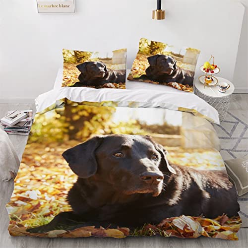 Produktbild von AOYNP Bettwäsche 155x200 Dackel Bettbezug Set Weich Microfaser Bettwaren Haustier Welpe Bettwäsche-Set Für Jungen Mädchen Bettbezug Mit ReißVerschluss Und 2 Kissenbezug 80x80cm