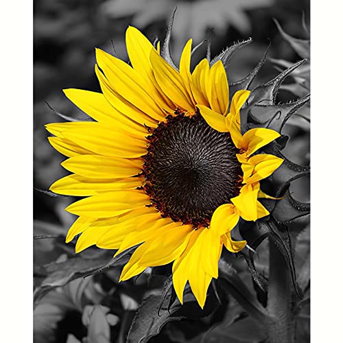 Peinture murale tournesol pour réchauffer l'ambiance de votre foyer - 3