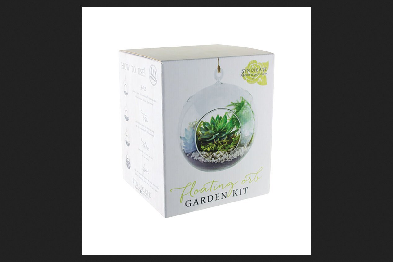 Syndicate Home & Garden 7 in. W Clear Plastic Floating Orb Garden Kit