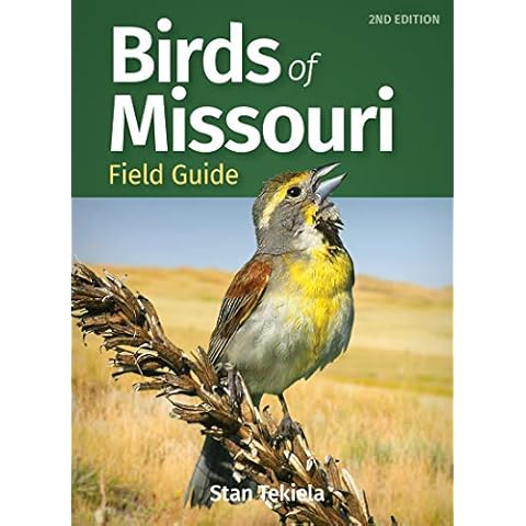 Birds of Missouri Field Guide (Bird Identification Guides) Cover
