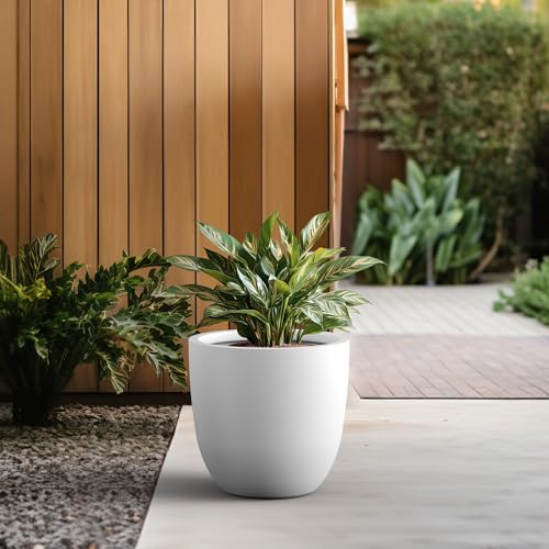 Image of Kante 18 inch Dia Round Concrete Planter, Large Bowl Pot, White