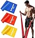 Haquno 3 packs de Bandes de résistance sportive, avec 3 niveaux de résistance pour la résistance des bandes sportives masculines et féminines, très adaptées à la musculation, au yoga, au Pilates