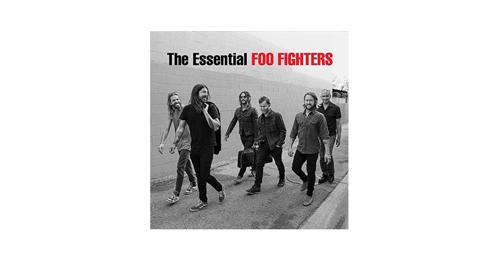 Foo Fighters 10枚セット CD 最新作、ベスト盤含む FOO FIGHTERS ESSENTIAL FOO FIGHTERS JAPAN CD | eBay