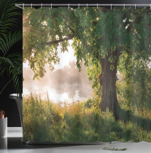 ABAKUHAUS Albero Tenda da Doccia, Streaming Mystic...