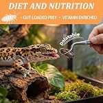 2 Pack Canned Dubia Roaches for Reptiles - High Protein Natural Pet Food for Turtles, Lizards, Birds and Small Animals, 5.5 oz Total - Image 3