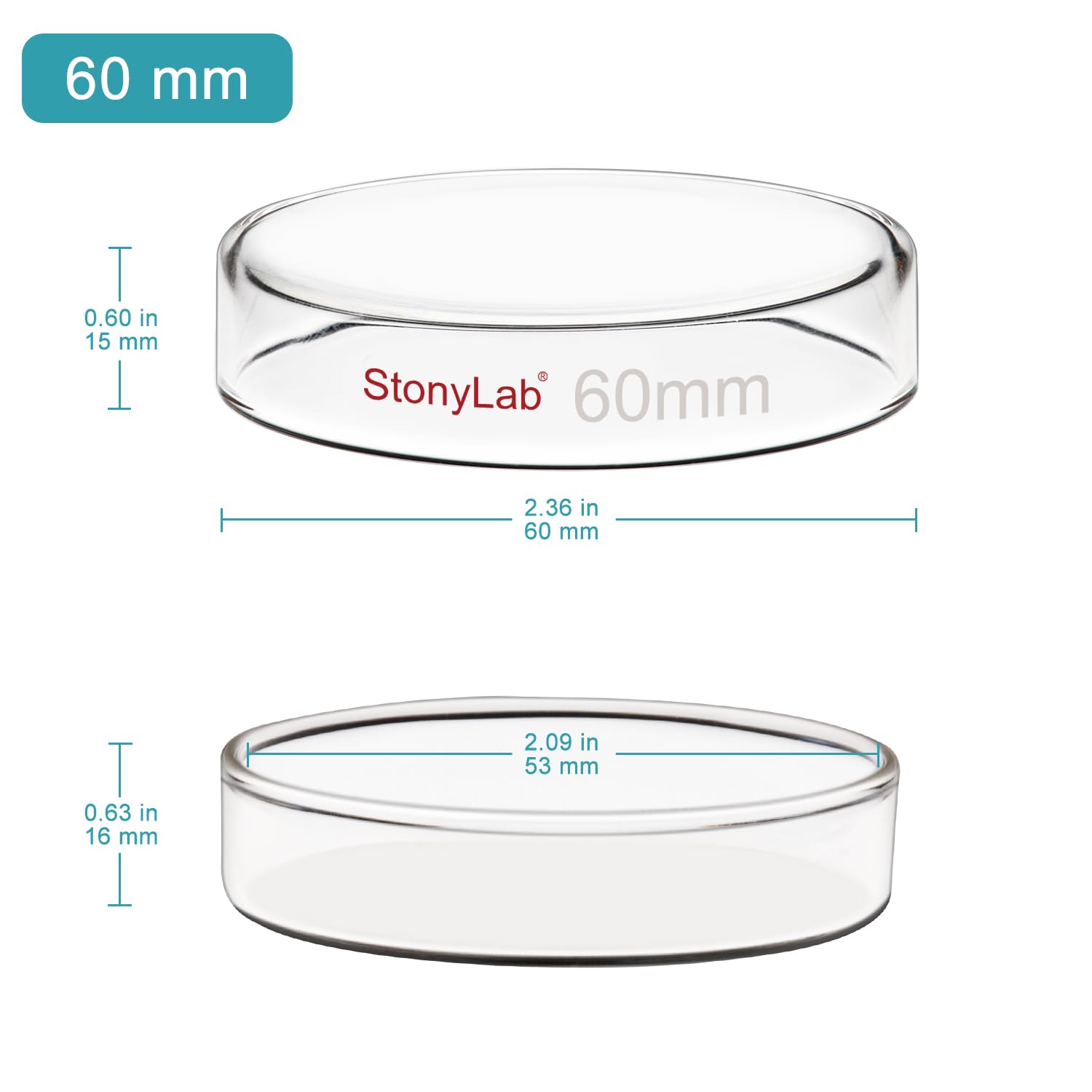 stonylab Piastra di Petri Vetro, 60x15 mm Piastra per Coltura Cellulare in Vetro Borosilicato Autoclavabile Piastra Petri con Coperchio Trasparente per Laboratorio