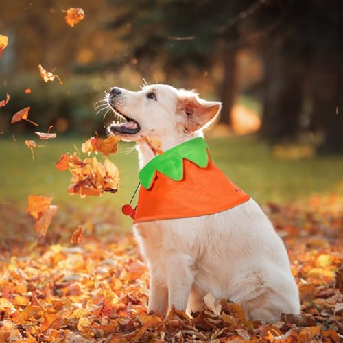 Capa para perro Halloween Luxshiny talla M naranja miniatura 5