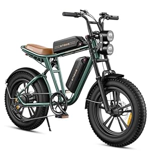 ENGWE M20 Elektrische Fiets voor Heren, 75KM+75KM Dubbel Accusysteem, 20″x4.0″ Dikke Banden, 48V 26AH Batterij, All-Terrain Off-Road, Shimano 7 Versnellingen, Volledig Geveerd