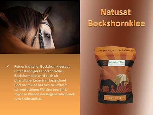 Foto von NATUSAT Bockshornkleesamen - pflanzlicher Lebertran mit natürlichem Vitamin D, Ergänzungsfutter für Pferde (3 kg)