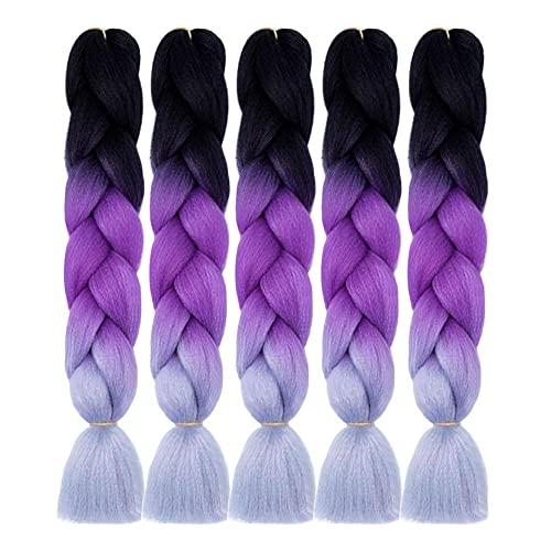 Aidusa Color Braiding Hair 5Pcs Synthetic Braid Hair Extensions 24 Inch 2 Tones For Box Braids Twist Crochet Braids 100G (#C21 Black To Purple To Gray) #TOP6