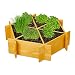 Relaxdays Hochbeet Holz, sechseckig, Gemüse, Blumen, Kräuter, Pflanzbeet für Garten, klein, HxBxT: 18x70x70 cm, Natur, 10036884