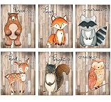 Woodland Nursery Decor for Boys - Animal Pictures Wall Art - Baby Room Animal Prints on Shiplap Back